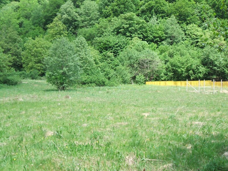 Raul Mare Retezat, Parcul National Retezat, Judetul Hunedoara.