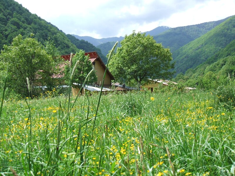 Raul Mare Retezat, Parcul National Retezat, Judetul Hunedoara.