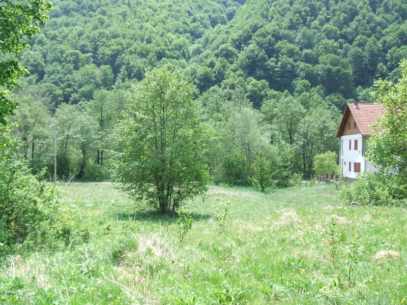Raul Mare Retezat, Parcul National Retezat, Judetul Hunedoara.